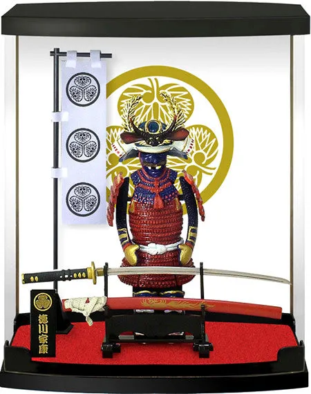 A-Type: Tokugawa Ieyasu