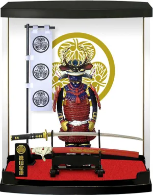 A-Type: Tokugawa Ieyasu
