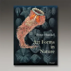 Art Forms in Nature