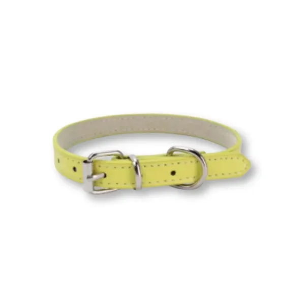 Dog Collar Chain