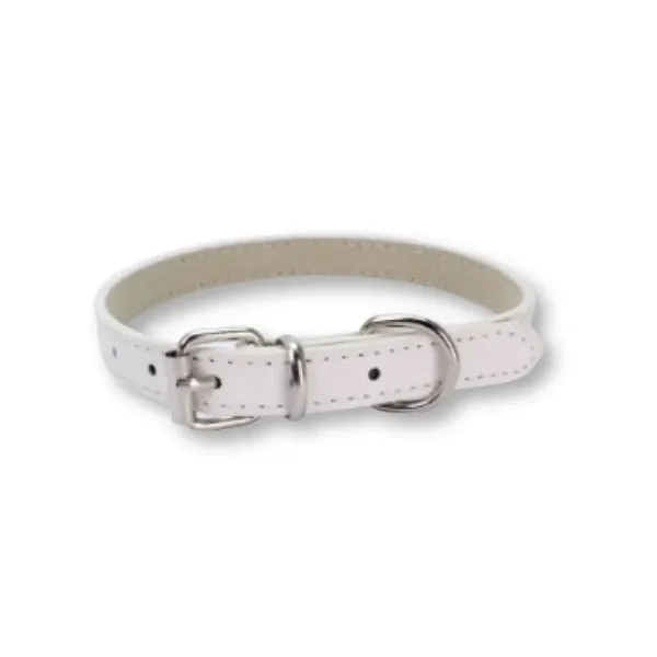 Dog Collar Chain