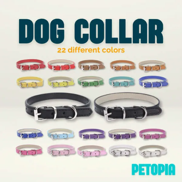 Dog Collar Chain