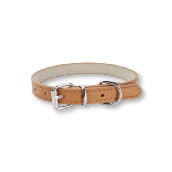 Dog Collar Chain