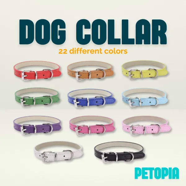 Dog Collar Chain