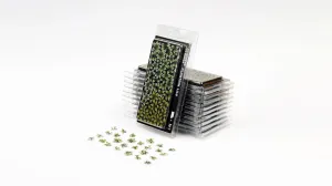 Gamers Grass  Plantain Lily